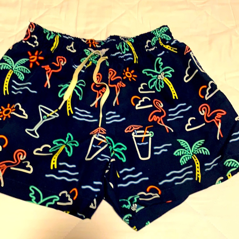 Men's Chubbies 5.5 inseam swim trunks